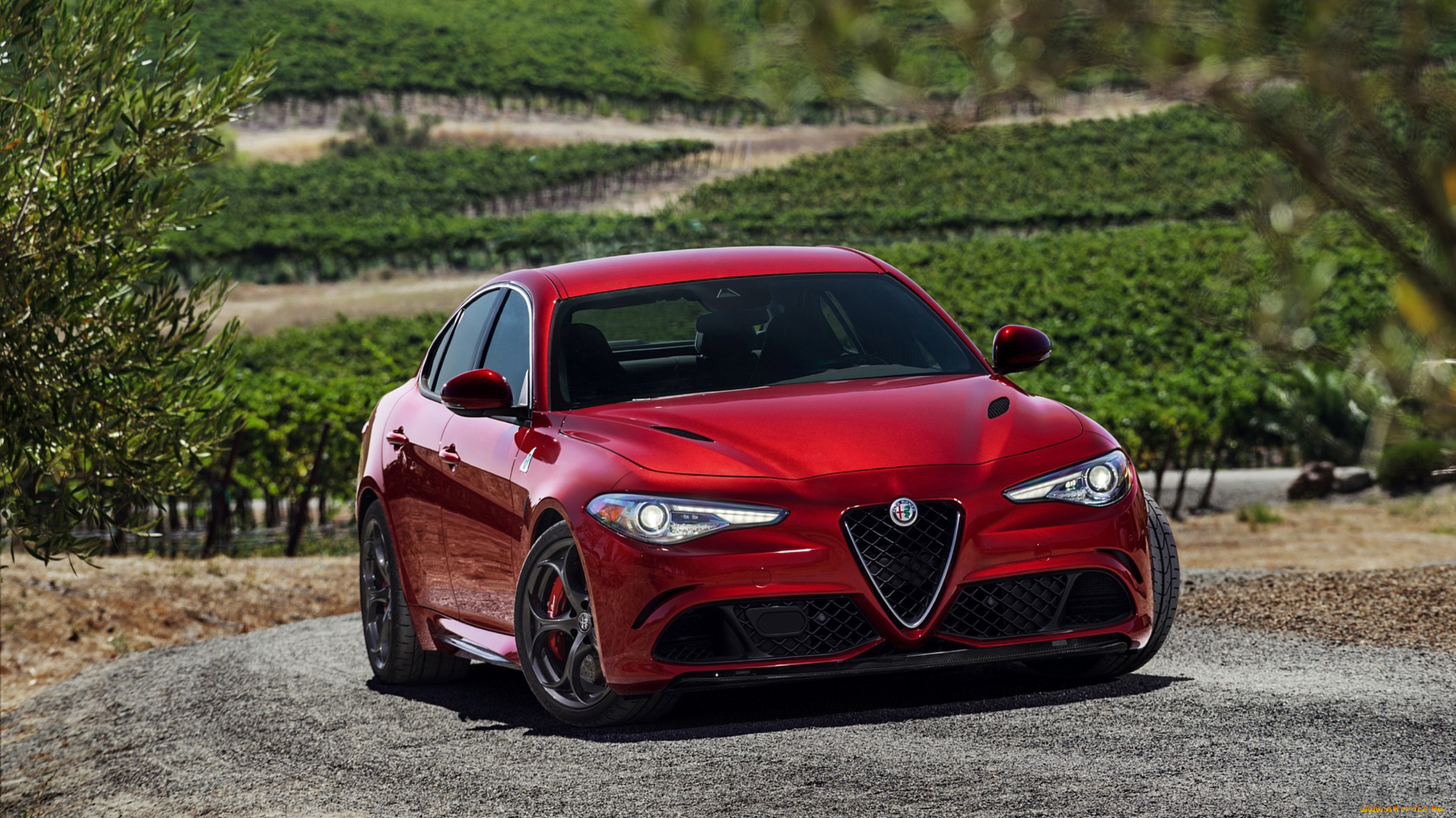 alfa romeo giulia quadrifoglio 2017, , alfa romeo, 2017, quadrifoglio, giulia, alfa, romeo